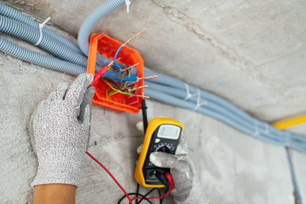 Best Electric Panel Repair  in Fort Pierce, FL
